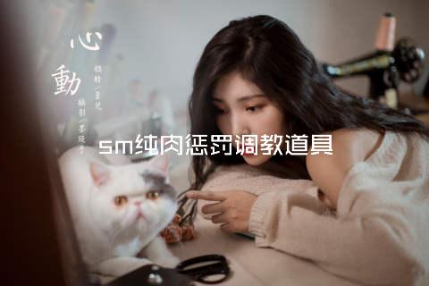 sm纯肉惩罚调教道具
